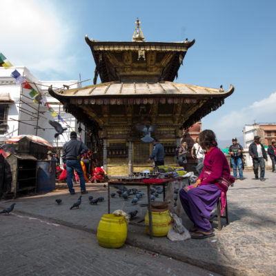 viaggio fotografico Nepal Tempio delle scimmie
