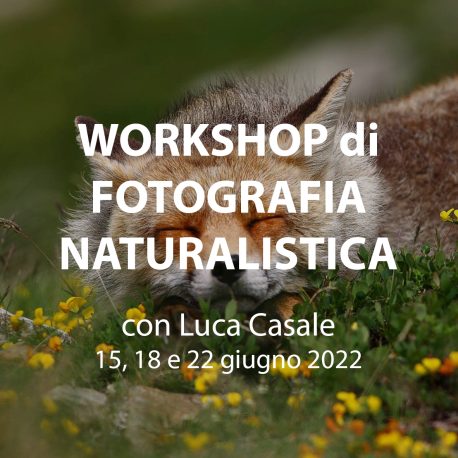 workshop_naturalisitica_sito1_corrrettissimo